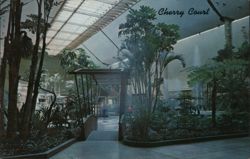 Cherry Court at Cherry Hill Center, Cherry Hill, NJ Postcard