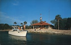 Crow's Nest Island, Homosassa River, Florida Postcard Postcard Postcard