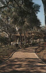 Brick Path at Rainbow Springs, Dunnellon, Florida Postcard