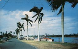 Yacht Harbor, Delray Beach, Florida Postcard