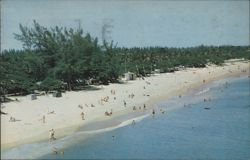 Fun in the Surf at Pompano Beach, Florida Postcard