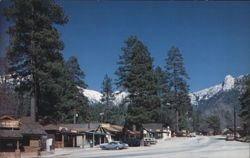 Idyllwild, California Street Scene Postcard