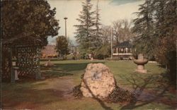 Lyman Park, St. Helena, California Saint Helena, CA Postcard Postcard Postcard