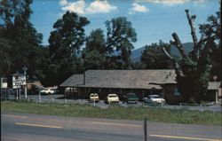 Major's Coffee Shop, Pine Valley, CA Postcard