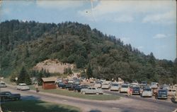 Newfound Gap Parking Area Bryson City, NC Walter Cline Postcard Postcard Postcard