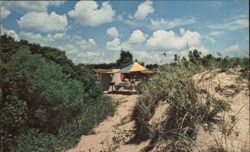 Tent Camping at Huntington Beach State Park Postcard