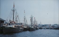 Stonington, Connecticut Fishing Boats with Flags Flying B.L. Gordon Postcard Postcard Postcard