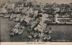 Stonington, Conn. Fishing Fleet at the Bindloss Docks Postcard