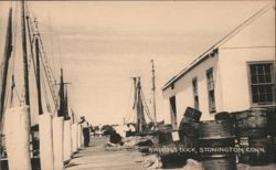 Bindloss Dock, Stonington, CT Connecticut Postcard Postcard Postcard