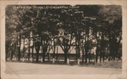 Mathews Park, Stonington, Conn. Connecticut Postcard Postcard Postcard