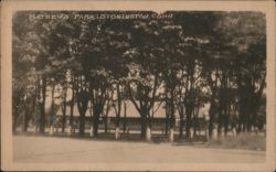 Mathews Park, Stonington, Conn Postcard