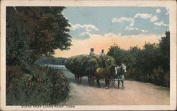 Scene Near Lords Point, Conn. Hay Wagon Postcard