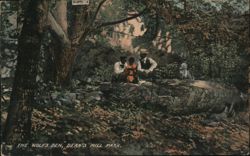 The Wolf's Den, Dean's Mill Park Westerly, RI Postcard Postcard Postcard