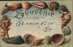 Souvenir from Stonington, CT - Seashells Postcard