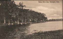 Walnut Grove Lake, Stonington, CT Connecticut Postcard Postcard Postcard