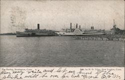 The Harbor, Stonington, Conn. Connecticut Postcard Postcard Postcard