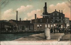 Atwood-Morrison Shop from the Breakwater, Stonington Postcard