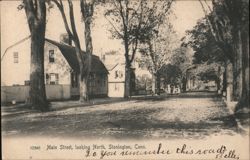 Main Street, looking North, Stonington, Conn. Connecticut Postcard Postcard Postcard