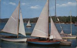 Sailboats at Groton Long Point, Connecticut Postcard