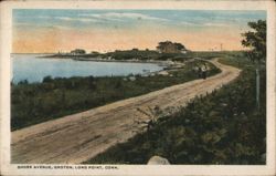 Shore Avenue, Groton Long Point Postcard