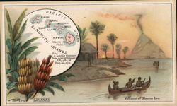 Sandwich Islands (Hawaii), Volcano of Mauna Loa, Bananas Trade Card Trade Card Trade Card