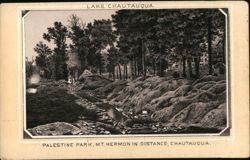 Palestine Park, Mt. Hermon in Distance, Chautauqua Trade Card