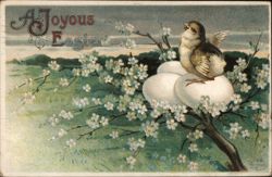 A Joyous Easter Chick on Eggs Postcard