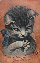 Kitten with Daisy, "I wonder if you love me" Postcard