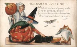 Halloween Greeting: Witches, Bats, and Pussy-Cats Postcard