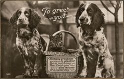 Two Springer Spaniels and Tabby Cat in Basket, Birthday Greeting Postcard