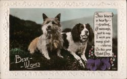 Two Dogs, Birthday Greeting Postcard