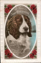 To Greet Your Birthday - Springer Spaniel Dog Postcard