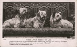 Three Little Doggies of Lue Postcard