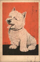 West Highland White Terrier Dog Postcard