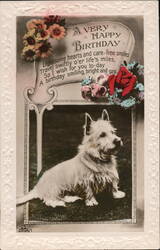 A Very Happy Birthday - West Highland White Terrier Postcard