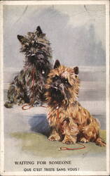 Waiting for Someone - Two Cairn Terriers Postcard