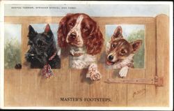 Scotch Terrier, Springer Spaniel and Corgi Postcard