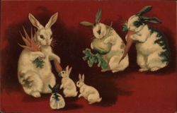 Rabbits with Carrots and Turnips Postcard