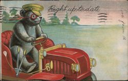 Right up to Date - Bear Driving Antique Car Postcard