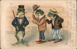 Three Dapper Frogs Postcard