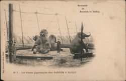 Barnum and Bailey Circus Elephants Postcard