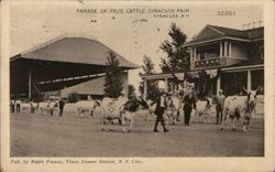 Parade of Prize Cattle, Syracuse Fair Postcard