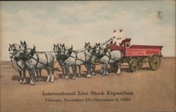 Swift & Company Six-Horse Hitch at International Livestock Exposition Postcard