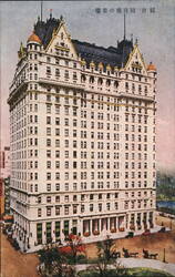 The Plaza Hotel, New York City Postcard