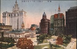 Japanese: City Hall Park, New York Postcard