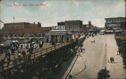 View from the Pier Postcard