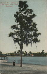 Lakeland, Florida - Glimpse of Lake Morton from South Boulevard Postcard