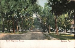 South Ridgewood Avenue, Daytona, FL Postcard