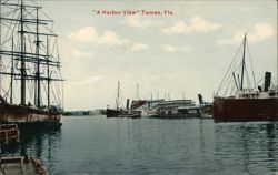 A Harbor View, Tampa, Fla. Postcard