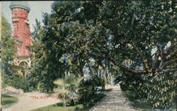 "The Walk" City Park, Tampa Postcard